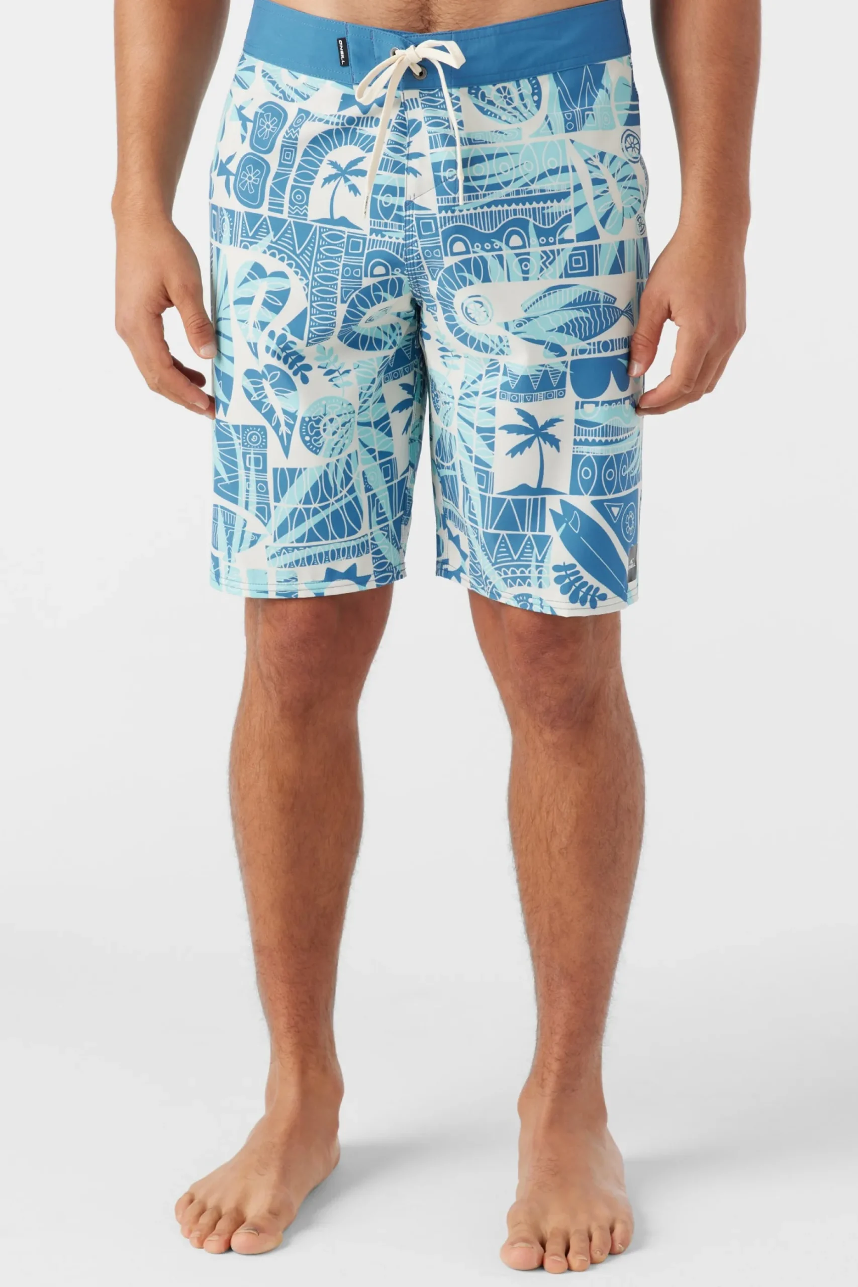 HYPERFREAK MYSTO 20" BOARDSHORTS